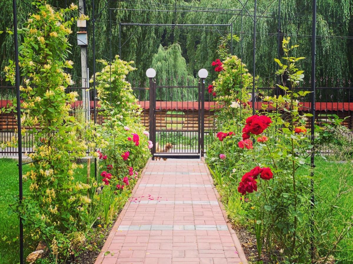 Maison Platanus Войняса Екстер'єр фото
