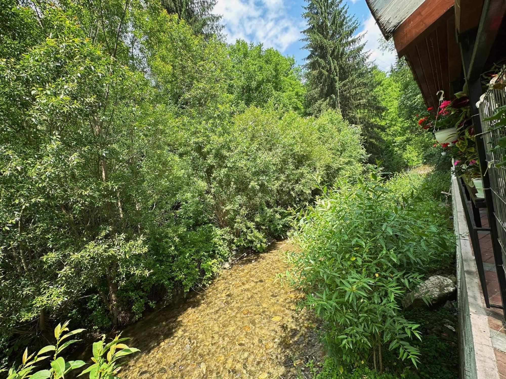 Maison Platanus Войняса Екстер'єр фото